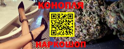 стаф Малгобек