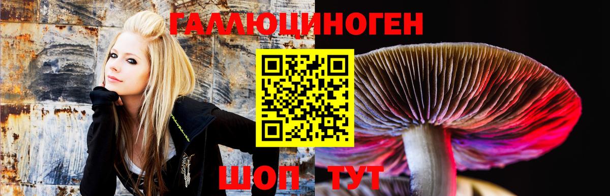 Галлюциногенные грибы Psilocybe Воронеж
